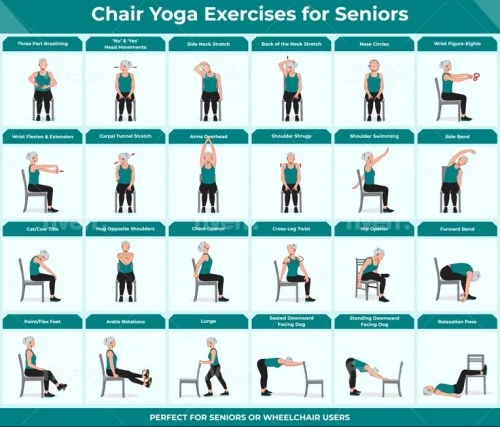 Chair Yoga Exercise for Beginners Bundle